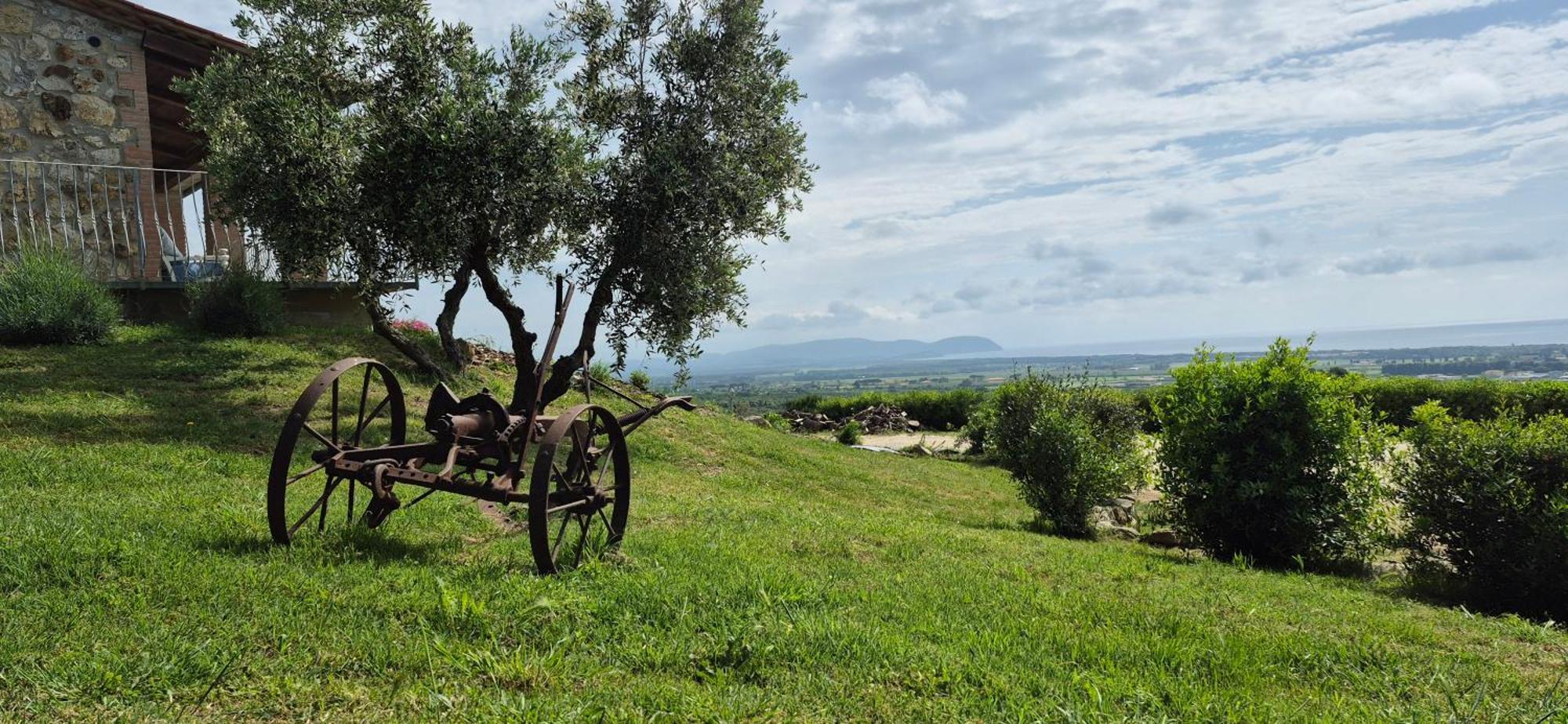 Agriturismo Suite Del Conte San Vincenzo Kültér fotó
